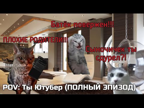 Видео: (ПОЛНЫЙ ЭПИЗОД) POV: Ты Ютубер 🖥️🖥️🖥️ — Серия 10