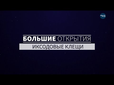 Видео: БОЛЬШИЕ ОТКРЫТИЯ. ИКСОДОВЫЕ КЛЕЩИ