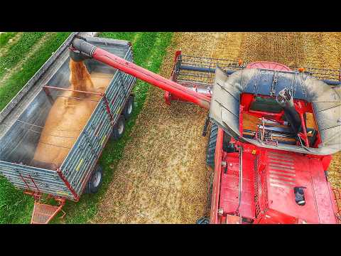 Видео: ОБМОТ ПШЕНИЦЫ 2024 CASE IH AXIAL FLOW 7088
