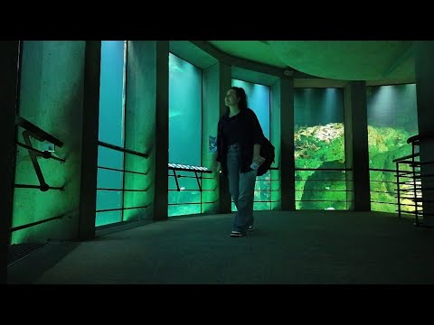 Видео: одинокая прогулка в океанариуме 🦈🦈🦈