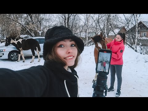 Видео: VLOG: КОННАЯ прогулка / Распаковка Shein / Кормление лошадей / Стрижка Хардина