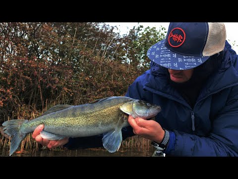Видео: Как поймать судака на блесну?