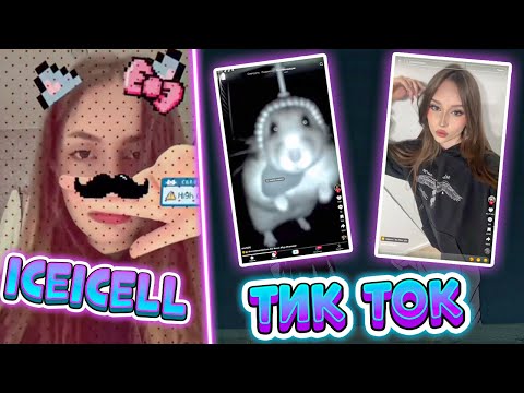 Видео: ЛИЗА СМОТРИТ ТИК ТОКИ | iceicell