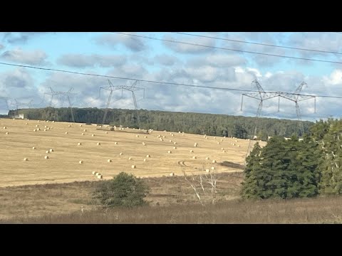 Видео: Расчетный лист