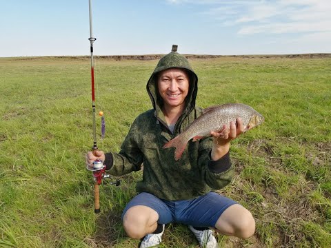 Видео: Съездил на родину, рыбалка удалась. Тут даже воздух другой. Природа. Язь на джиг. Жана-Кийма.