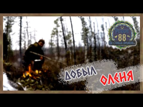 Видео: Регион 88 | Добыл оленя. Жарю мясо на костре, пью чай