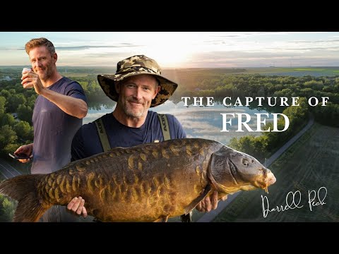 Видео: Даррелл Пек поймал лучшего из гигантиков, Фреда, весом в 66 фунтов!