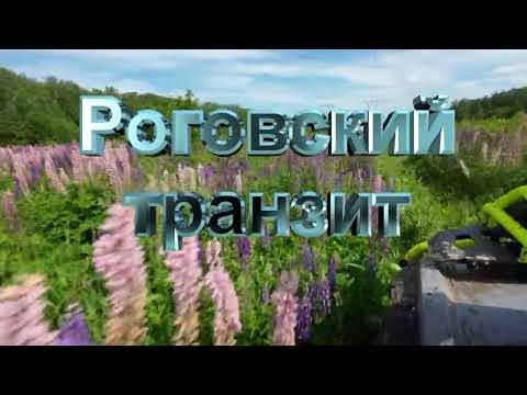 Видео: Роговский транзит