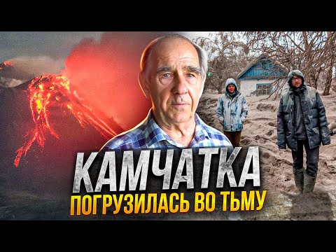 Видео: Камчатка погрузилась во тьму Животный мир не смог спастись