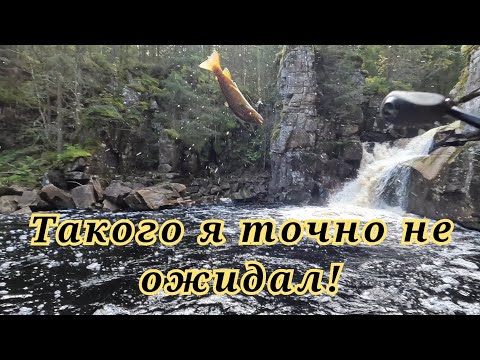Видео: Решил забросить под водопад в глуши…