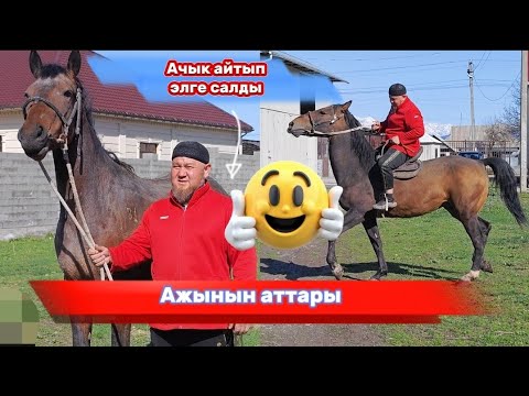 Видео: Ажы ачыгын айтты