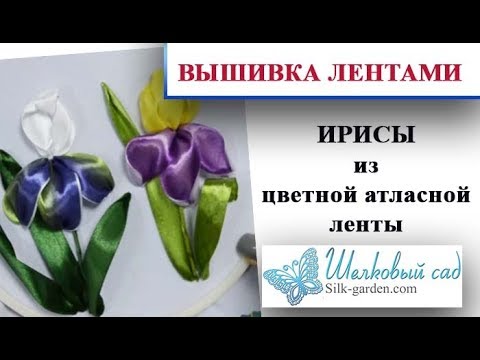 Видео: Вышивка лентами - Ирисы из цветной атласной ленты\DIY