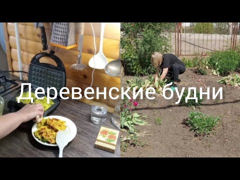 Видео: Деревенские будни Кабачковые вафли