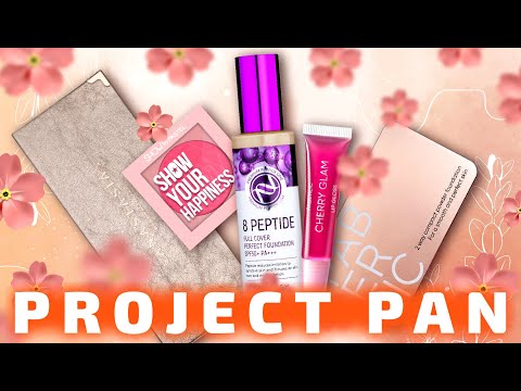 Видео: КОСМЕТИЧЕСКИЙ Project Pan 2024 | пятый отчет😁
