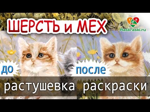 Видео: Шерсть и мех! 🎨Доработка и растушевка раскраски по номерам!