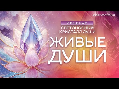 Видео: Живые души | семинар Светоносный Кристалл Души. Часть 1
