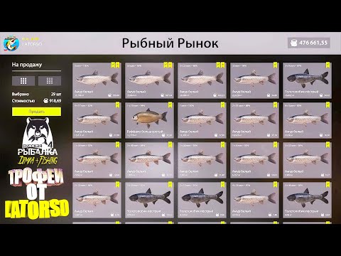 Видео: Русская рыбалка 4.🎣🦈 р. Ахтуба 🐳🐳🐳💦 ТРОФЕИ от LATORSO 👀