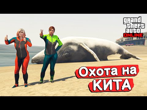 Видео: 🐋Как мы ловили КИТА в GTA Online