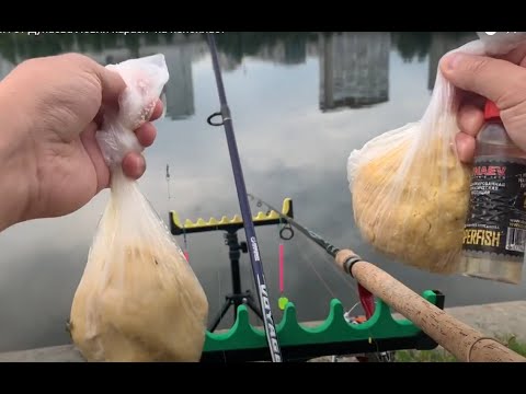 Видео: Чеснок против SUPERFISH от Дунаева  Ловля карася "на пенопласт"