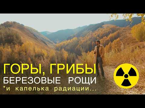 Видео: ЯДЕРНЫЕ ГРИБЫ, березы и горы - заброшенный поселок АК-ТЮЗ
