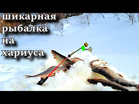 Видео: Я В ШОКЕ ОТ ТАКОЙ РЫБАЛКИ!!! ШИКАРНАЯ РЫБАЛКА НА ХАРИУСА! ВЕСНА 2022