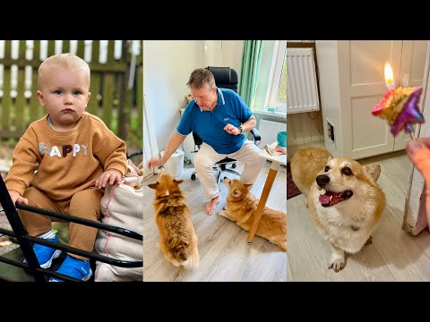Видео: ТАФФИ 9 лет! У Сэдди прошла адаптация 😊я успокоилась ✅VLOG