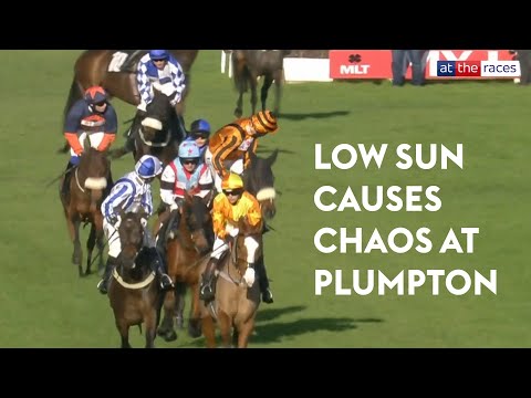 Видео: ДРАМА В ПЛАМПТОНЕ 🫣 | Из-за низкого солнца смятение спровоцировало хаос, когда половина поля подъ...