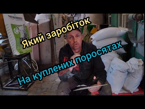 Видео: Скільки я заробив на куплених поросятах