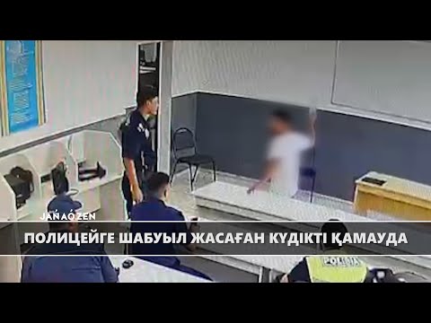 Видео: ДАБЫЛ ДАБЫЛ  07.10.2024 ж.