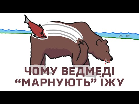 Видео: Чому ведмеді грізлі «марнують» їжу [MinuteEarth]