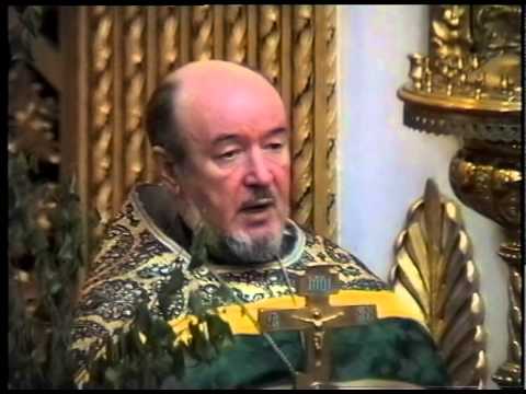 Видео: Неделя 8-я по Пасхе. День Святой Троицы.  7 июня 1998 г.