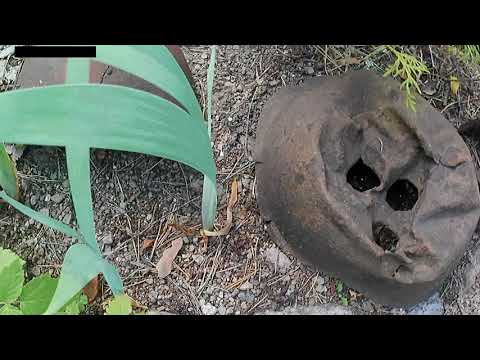 Видео: Путешествие от Вещево к Вуоксе.