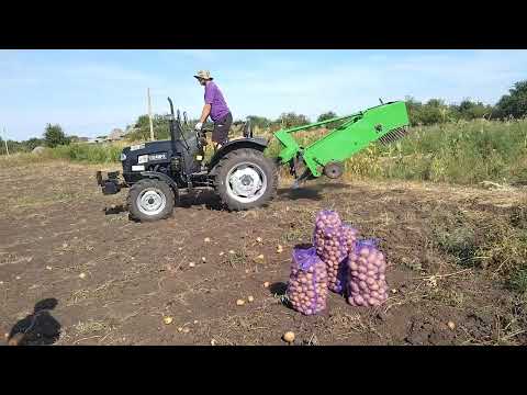 Видео: Минитрактор с картоплекопалкой Бомет