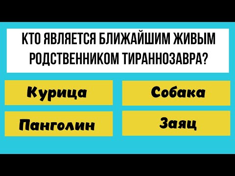 Видео: 30 вопросов для проверки ваших знаний! ТЕСТ НА ЭРУДИЦИЮ!