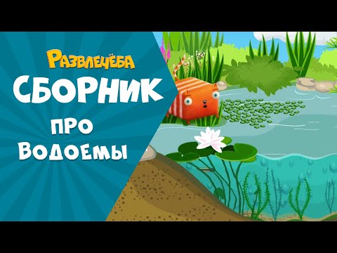 Видео: Развлечёба. Изучаем ВОДОЕМЫ вместе с Кубокотом