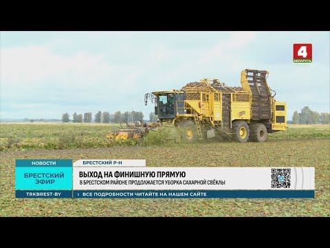 Видео: ВЫХОД НА ФИНИШНУЮ ПРЯМУЮ