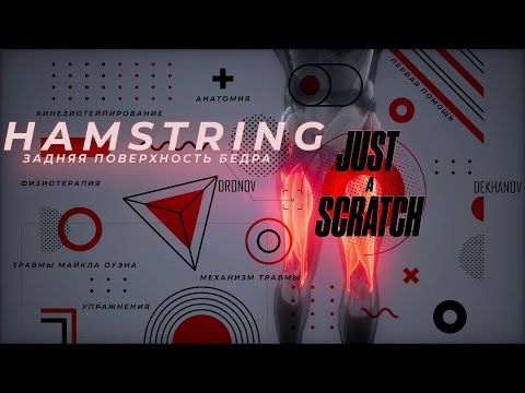 Видео: HAMSTRING.Травмы мышц задней поверхности бедра. Лечение, профилактика,последствия, травмы ОУЭНА!