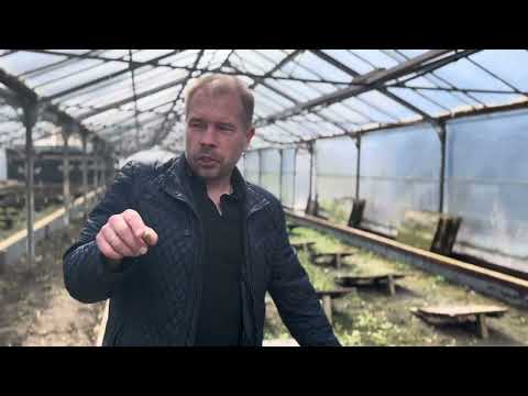 Видео: Сколько урожаев улитки можно собрать за год?