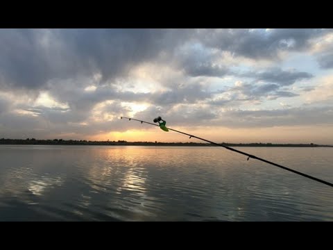 Видео: СЫРДАРЬЯ, РЫБАЛКА НА САЗАНА