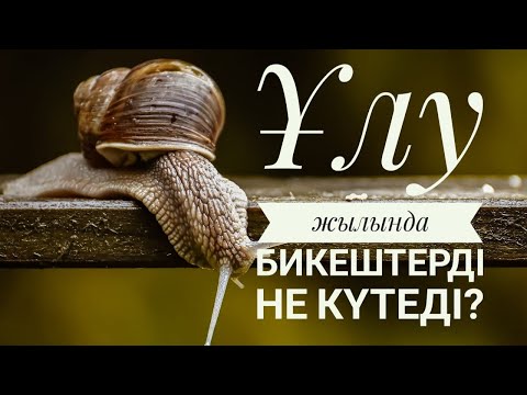 Видео: Ұлу жылындағы БИКЕШ терге арналған жұлдыз жорамал