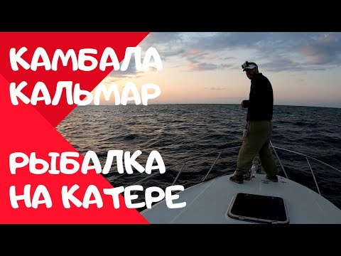 Видео: Рыбалка на катере. Ловим камбалу и кальмара.