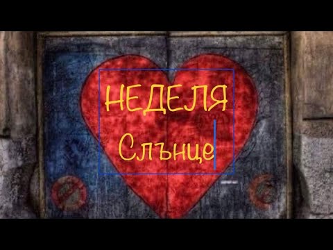 Видео: Дневна прогноза за 09 номври 2025