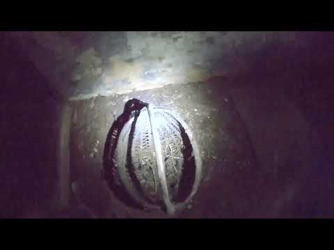 Видео: Необычные находки в усадьбе Гюнтеров