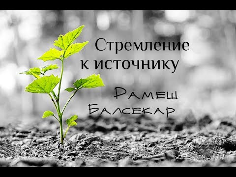 Видео: Стремление к источнику. Балсекар Рамеш - Сознание говорит
