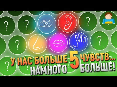 Видео: У человека БОЛЬШЕ 5 чувств | Plushkin