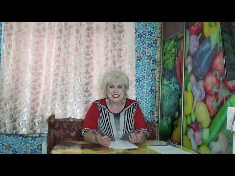 Видео: Томатные Гномы - что это за чудо? Мое восторженное мнение о Томатных Гномах после 3 лет выращивания.