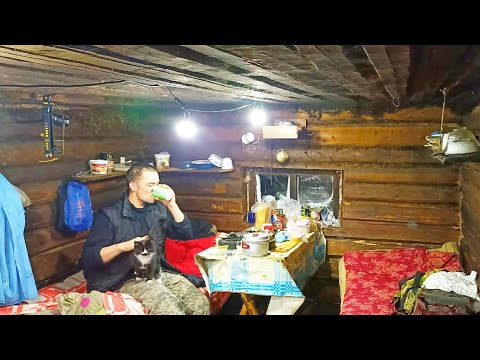 Видео: ЖИВУ В ДЫРЯВОЙ ИЗБЕ В - 40 ГРАДУСОВ / УЕХАЛ В ТАЙГУ С КОШКОЙ И СОБАКОЙ / УЖИН ПО ОХОТНИЧЬИ. ОХОТА.