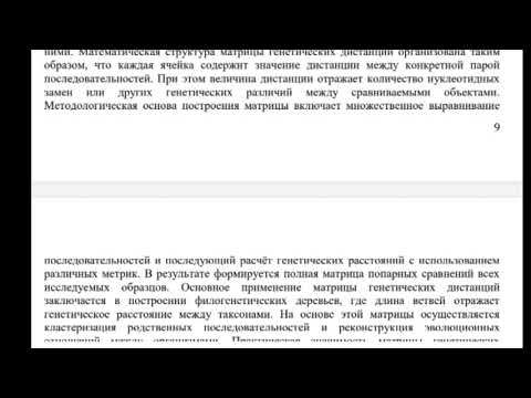 Видео: Шархан Азиатский лев по результатам генетического анализа 9 ноября 2025 г  Видео от опекуна Светланы