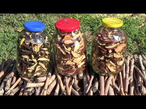 Видео: Сушим груши на зиму, сравнение в качестве и времени сушки двух разных сушилок