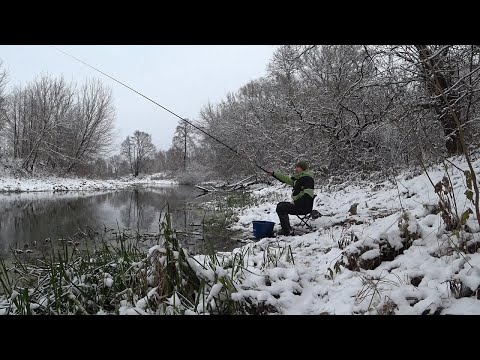 Видео: В Декабре на Удочку. Зимняя Ловля